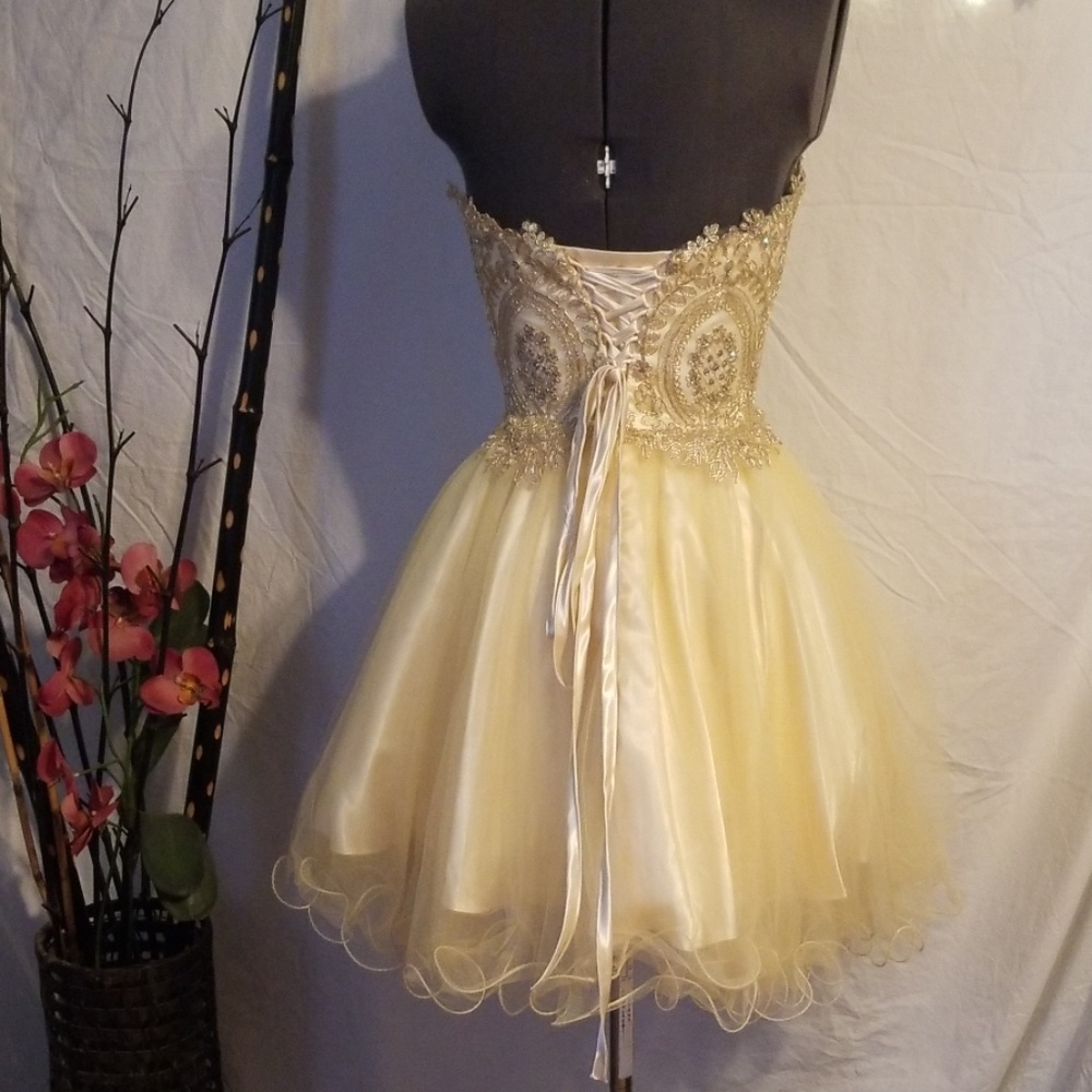 NWOT STAR BOX ELEGANT DRESS - Picture 5 of 7